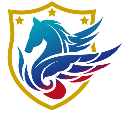 丸杉ロゴ